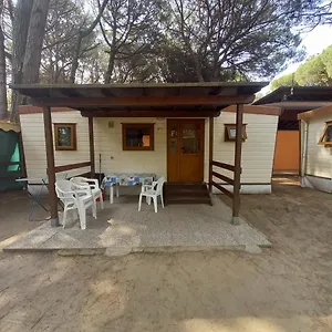 amenra-mobile-homes-mare-e-pineta.emilia-romagnahotels.net/